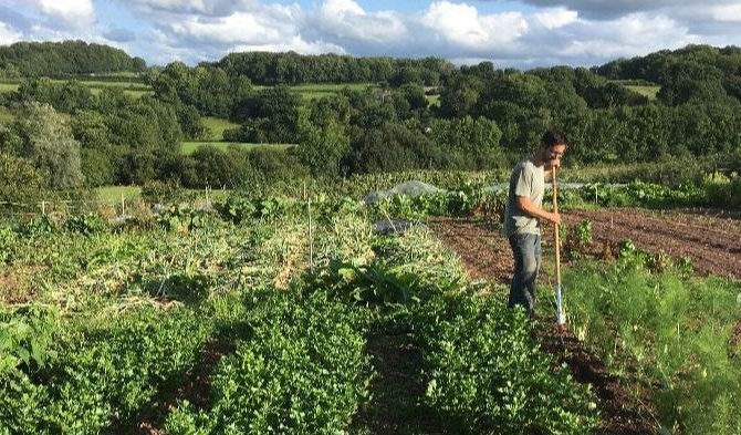 Be part of a living, working countryside: apply for a small farm lease with the Ecological Land Cooperative