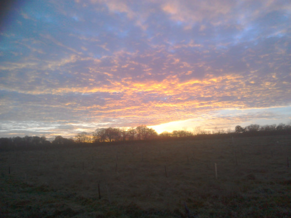 Come and join us on our organic, off-grid smallholding in 2017