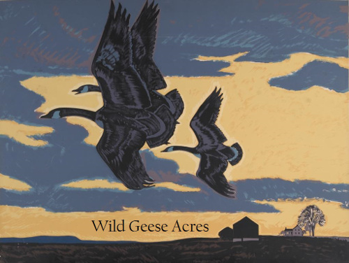 wild-geese3