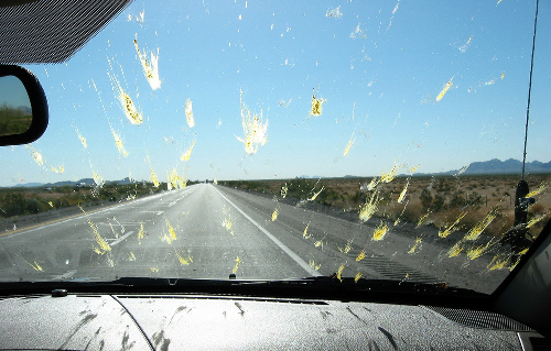 windscreen