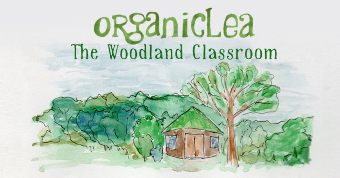 A woodland classroom for north London – help OrganicLea make it happen!
