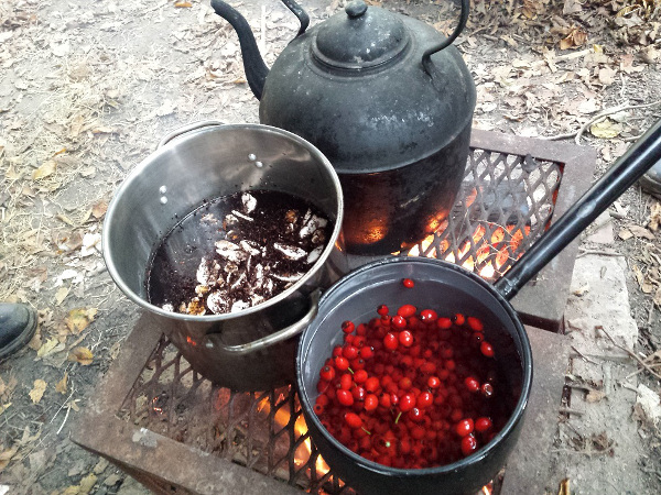 autumn-foraging-season-soon-here-s-some-inspiration