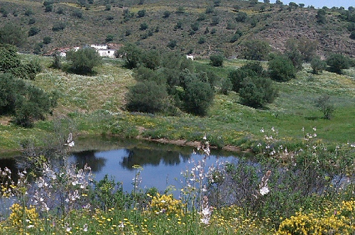 The site of the proposed eco-hotel in the Algarve, Portugal