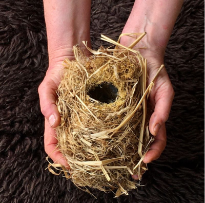 A wrens' nest