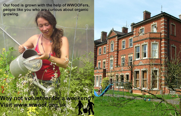 Goodbye to WWOOF and to Redfield Community: the dawn of a new era for Lowimpact.org