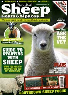 practical sheep goats and alpacas