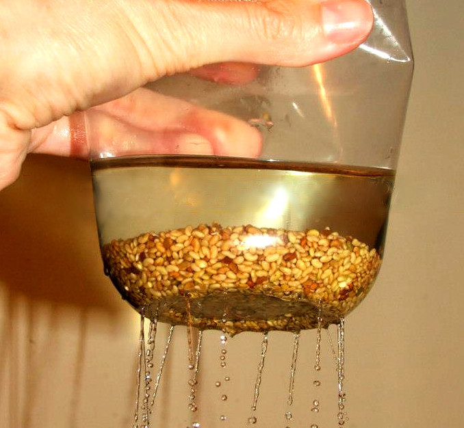 A tip to stop seeds retaining water and rotting during sprouting